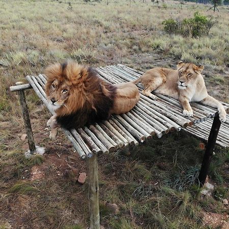 Schrikkloof Private Nature Reserve, Home Of The Lions Foundation Bela-Bela Exterior photo