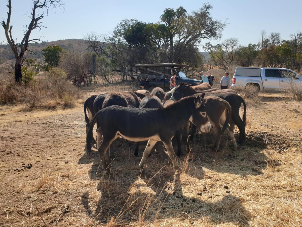 Schrikkloof Private Nature Reserve, Home Of The Lions Foundation Bela-Bela Exterior photo