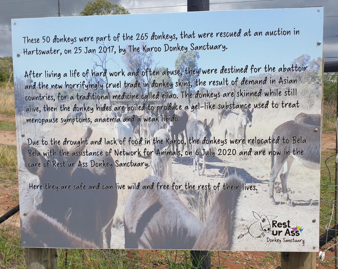 Schrikkloof Private Nature Reserve, Home Of The Lions Foundation Bela-Bela Exterior photo
