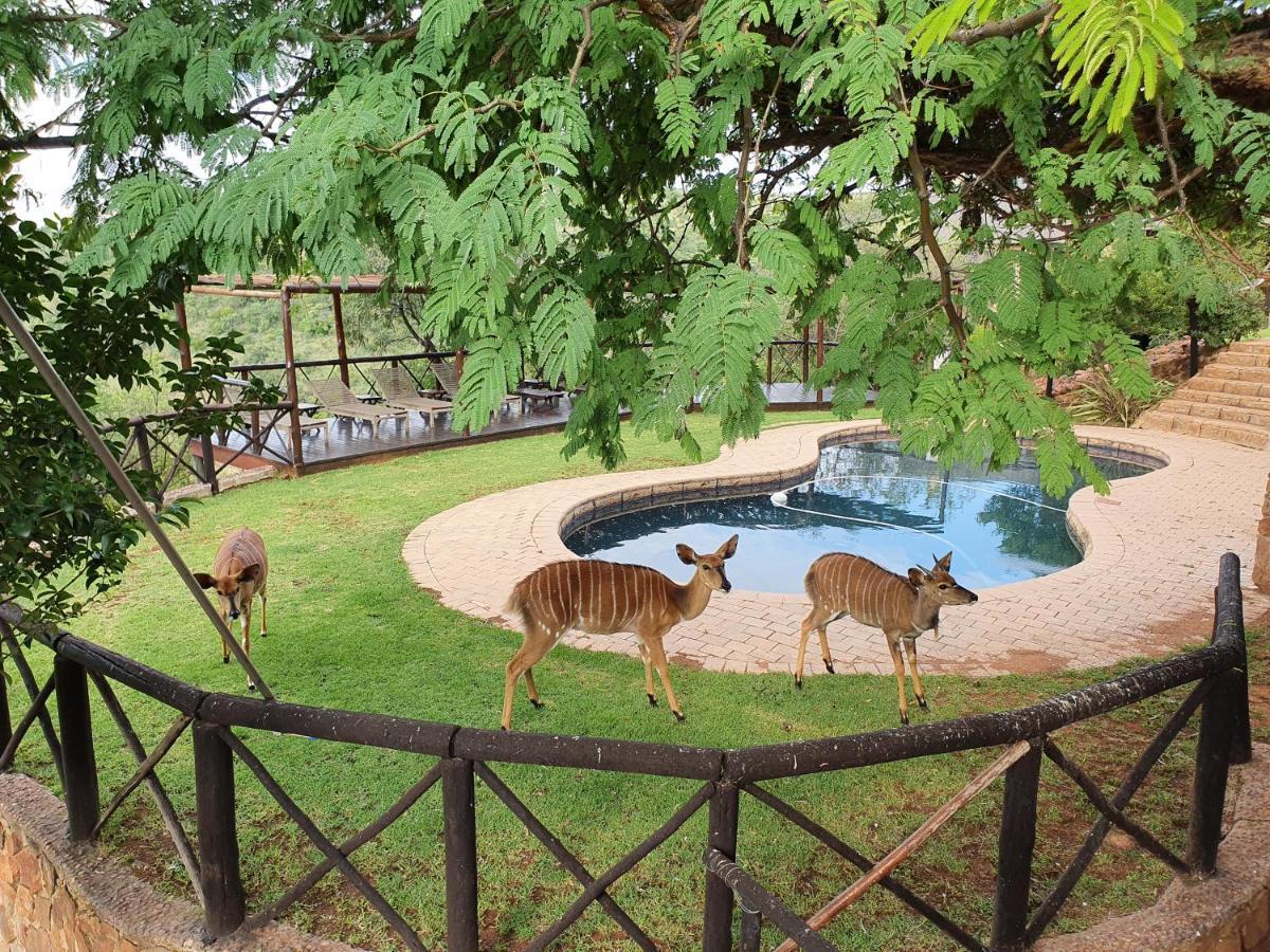 Schrikkloof Private Nature Reserve, Home Of The Lions Foundation Bela-Bela Exterior photo