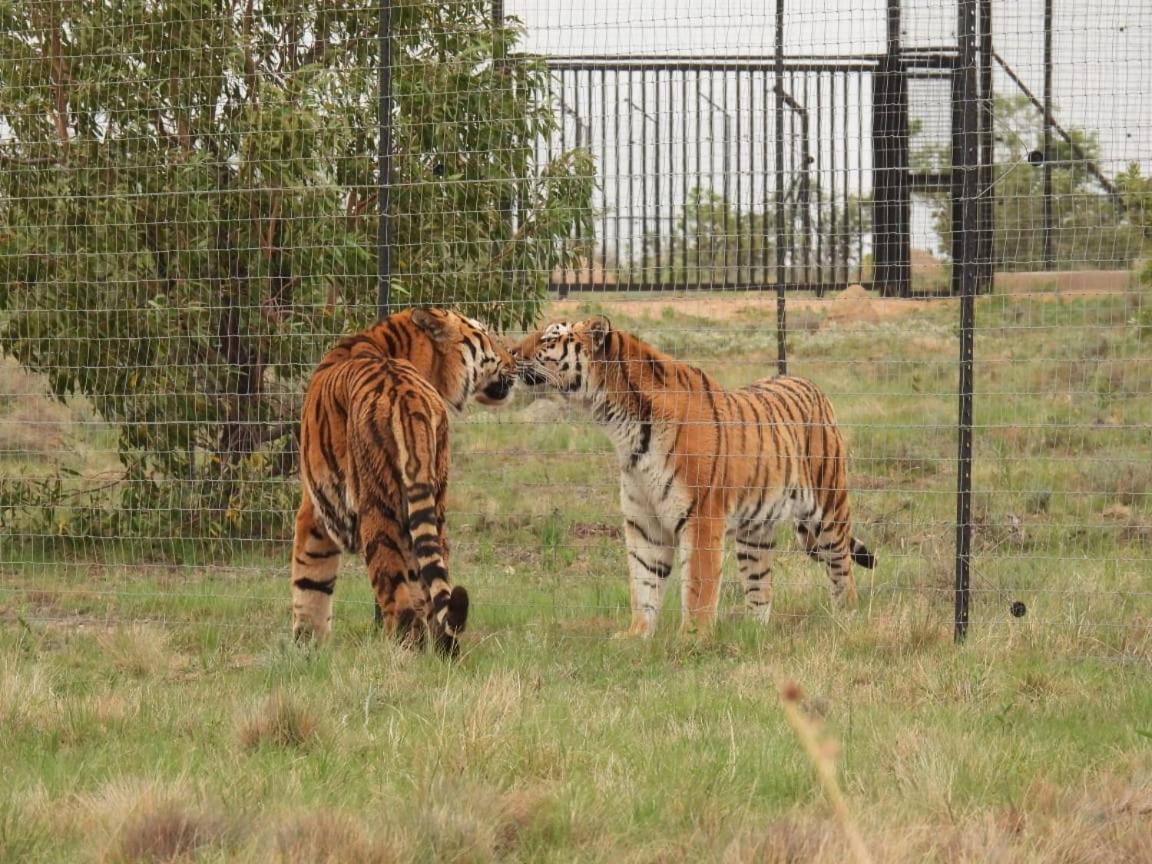 Schrikkloof Private Nature Reserve, Home Of The Lions Foundation Bela-Bela Exterior photo