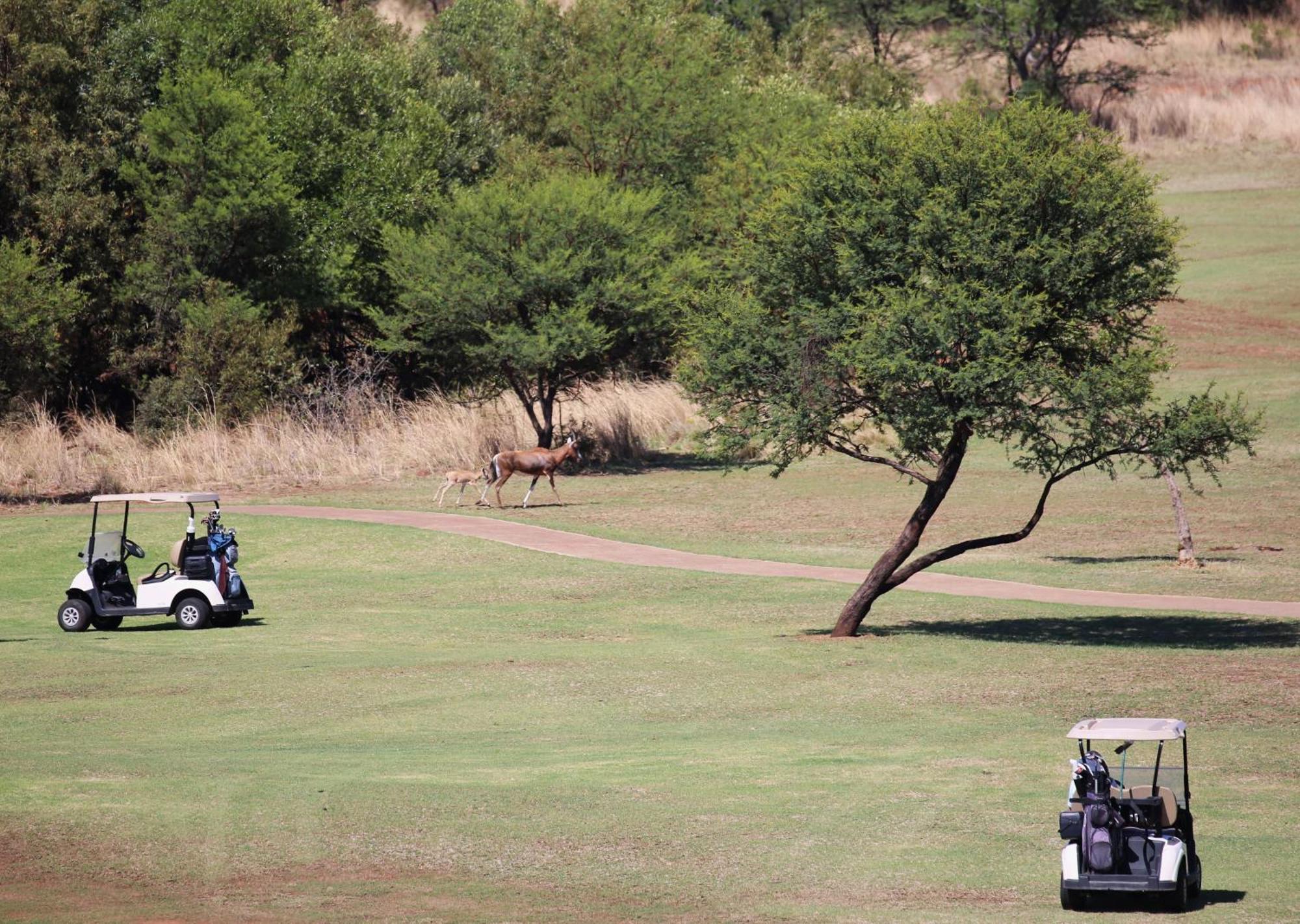Schrikkloof Private Nature Reserve, Home Of The Lions Foundation Bela-Bela Exterior photo